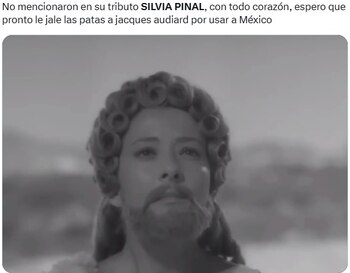 Fans se quejan que no incluyeron a Silvia Pinal en el Oscar