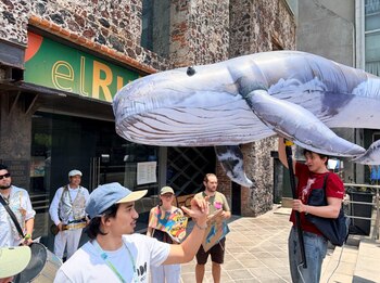 Reecientemente realizaron el Festival Guardianes del Golfo, en el Centro Cultural El Rule, en la Ciudad de Mëxico