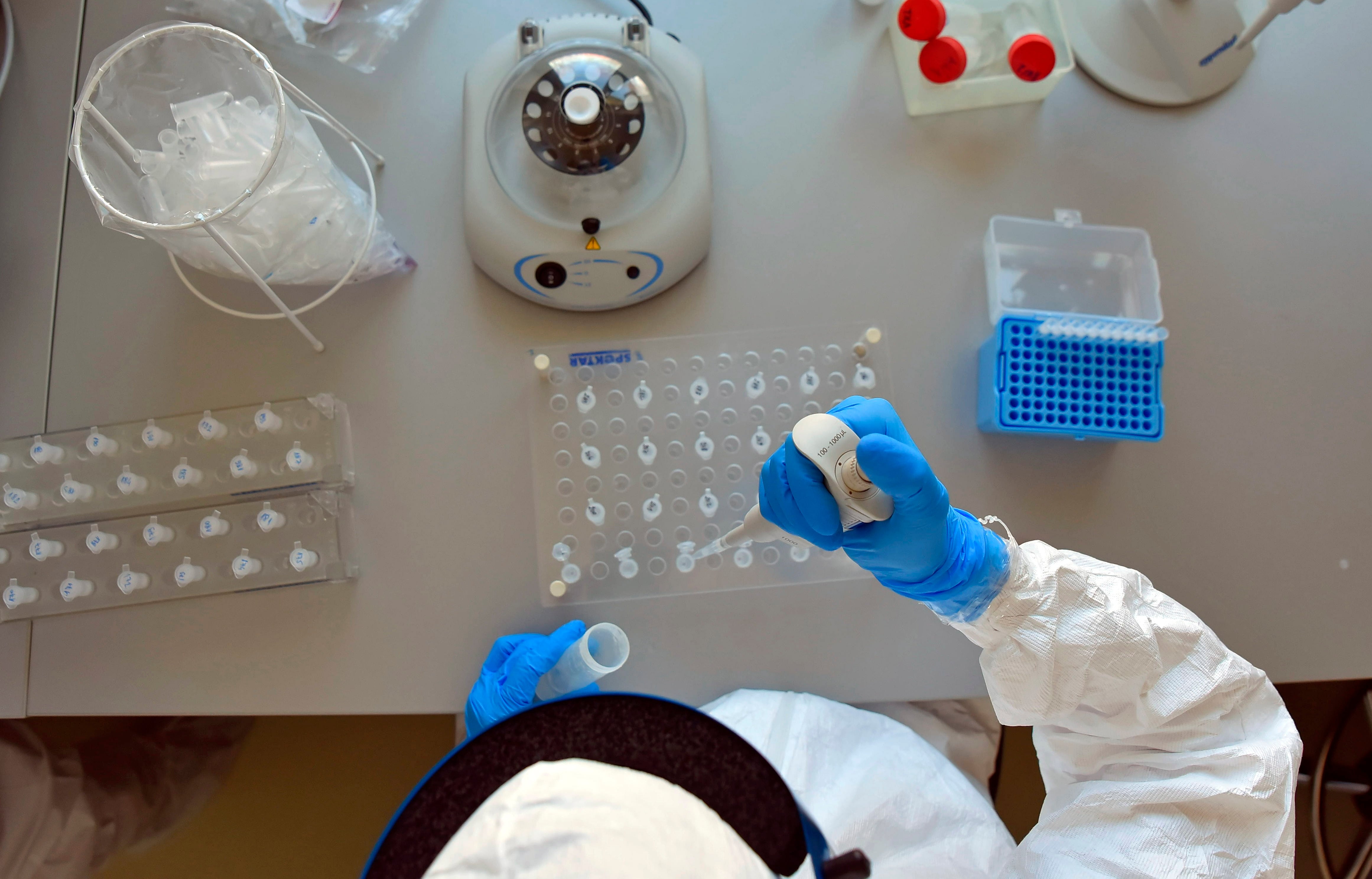 Las principales dudas surgieron por temores a efectos adversos y cuestionamientos sobre la eficacia de las vacunas (Efe)