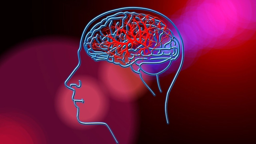 NTWZ6HE7MBCAZKSEWXUBYCGJJE