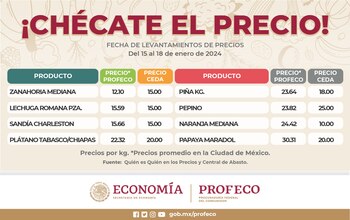 Los mexicanos deben elegir qué