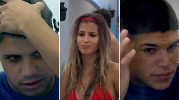 Sesión de peluquería en Gran