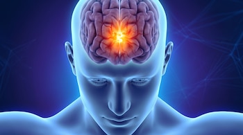 Ilustración en tonos azules del busto de una persona con el cerebro visible y un área brillante de color naranja en el centro.