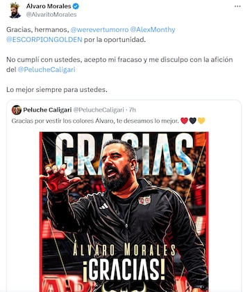 Álvaro Morales se despidió de Peluche Caligari (captura de pantalla)