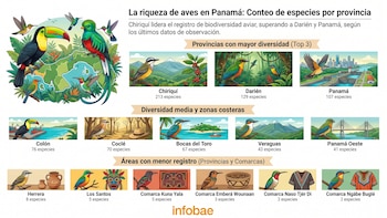 Panamá busca romper su récord de aves en el Global Big Day 2026