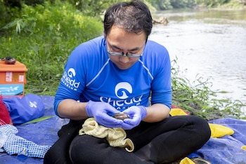 Un hombre con camiseta azul del Acuario Shedd y guantes púrpuras sostiene un pequeño molusco junto a un río