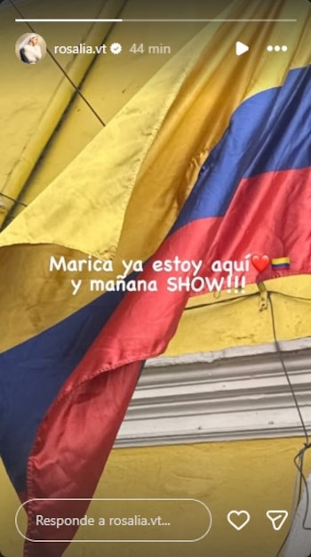 Rosalía confirmó a sus seguidores que ya se encuentra en Colombia para brindar sus dos fechas en el Movistar Arena de Bogotá - crédito @rosalia.vt/Instagram