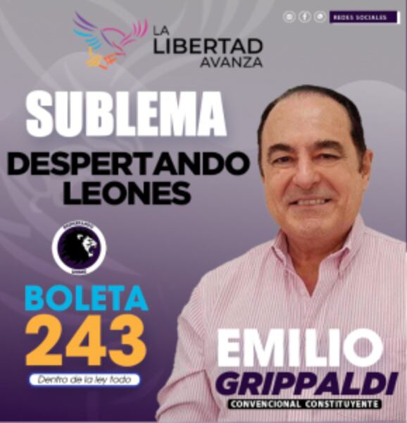 Tramo de la boleta para convencional constituyente del sublema Despertando Leones