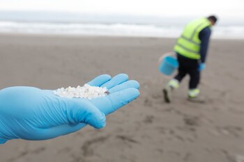 Un operario de TRAGSA coge