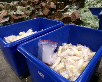 Los narcóticos tiene un valor