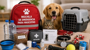Mochila de emergencia para mascotas: qué debe contener para proteger a perros y gatos durante un sismo