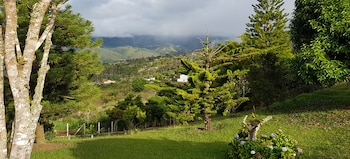 Se recomienda reservar y consultar