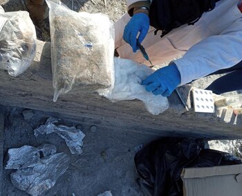 Personal de la FGR en