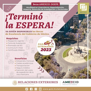 Los niveles que oferta la