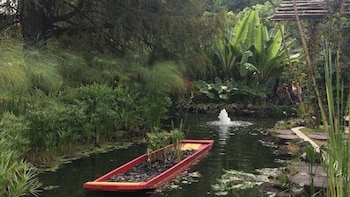 Jardín Botánico de Chapultepec el
