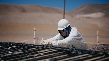 Vicuña proyecta exportaciones por USD