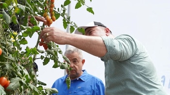 La producción agropecuaria de República Dominicana lidera en frutales y musáceas durante el primer trimestre de 2026