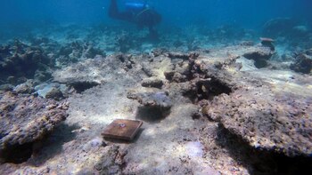 Estudio China-EEUU dice que eventos