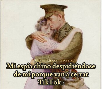 La suspensión de TikTok en