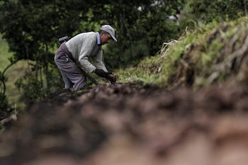 Este fenómeno hará que la