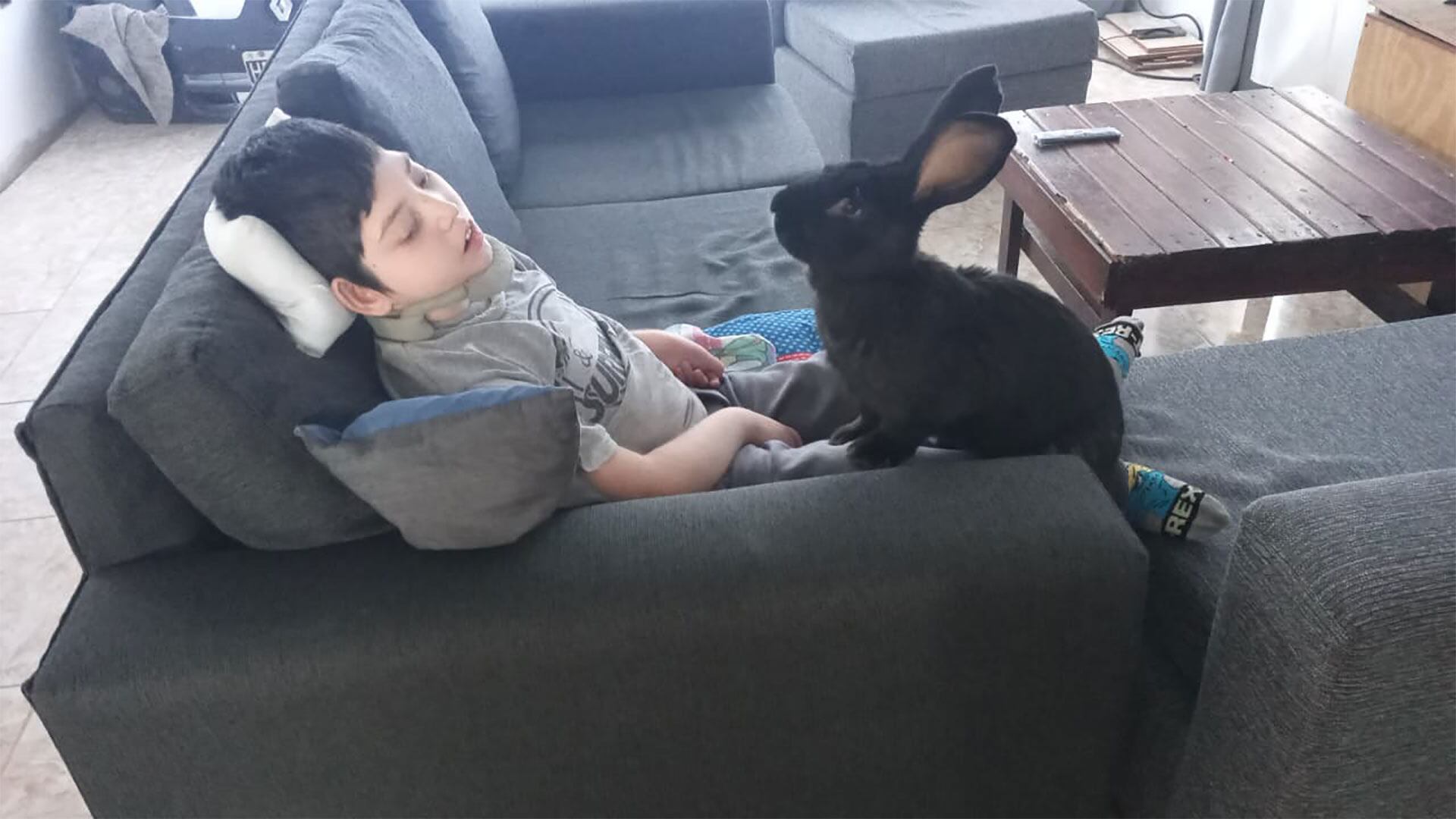 Noah necesita ayuda para poder tener una mejor calidad de vida