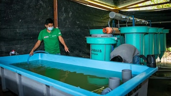 Gracias a la asistencia técnica