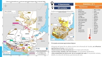 Un informe oficial alerta que la persistencia de temperaturas superiores a los 35 grados centígrados y la disminución de la humedad del suelo pondrán en riesgo importantes sectores agrícolas y pecuarios durante el periodo pronosticado (Imagen cortesía Ministerio Agricultura, Ganadería y Alimentación)