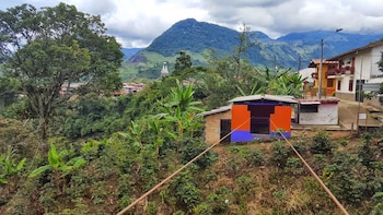 La historia de la ‘Garrucha’ es un ejemplo de cómo las iniciativas locales pueden evolucionar y generar impacto más allá de su propósito inicial - crédito Jardín Antioquia In