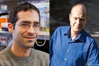 Zvika Granot y Amnón Lahad