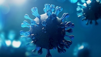 Investigadores identifican dos virus animales