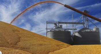 Fuera de China y Estados