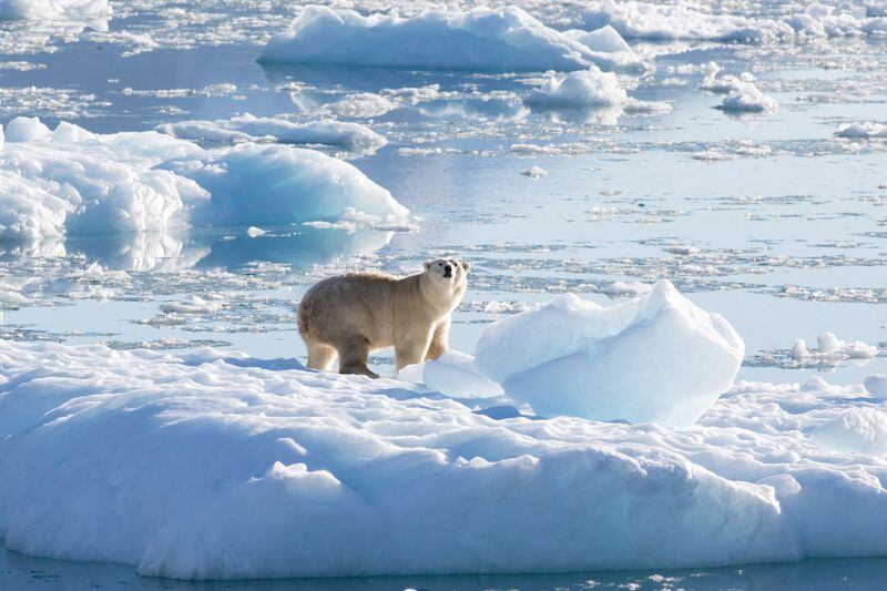 El Ártico se está calentando casi cuatro veces más rápido que el resto del planeta, acelerando el derretimiento de glaciares y capas de hielo. (Reuters/NASA)