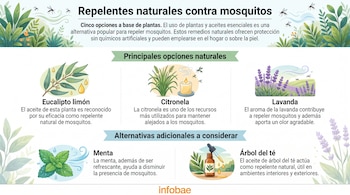 Infografía con texto sobre repelentes naturales para mosquitos, mostrando ilustraciones de eucalipto limón, citronela, lavanda, menta y árbol del té.