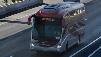 Quienes tienen credencial del IMSS