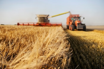 En 2024, Córdoba exportó bienes