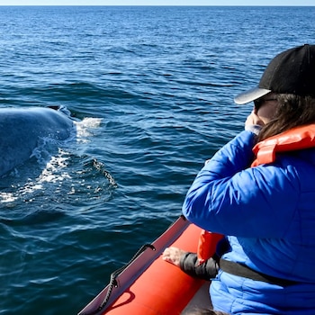 Vista lateral de una ballena azul parcialmente sumergida junto a un bote inflable naranja con una persona de espaldas observándola