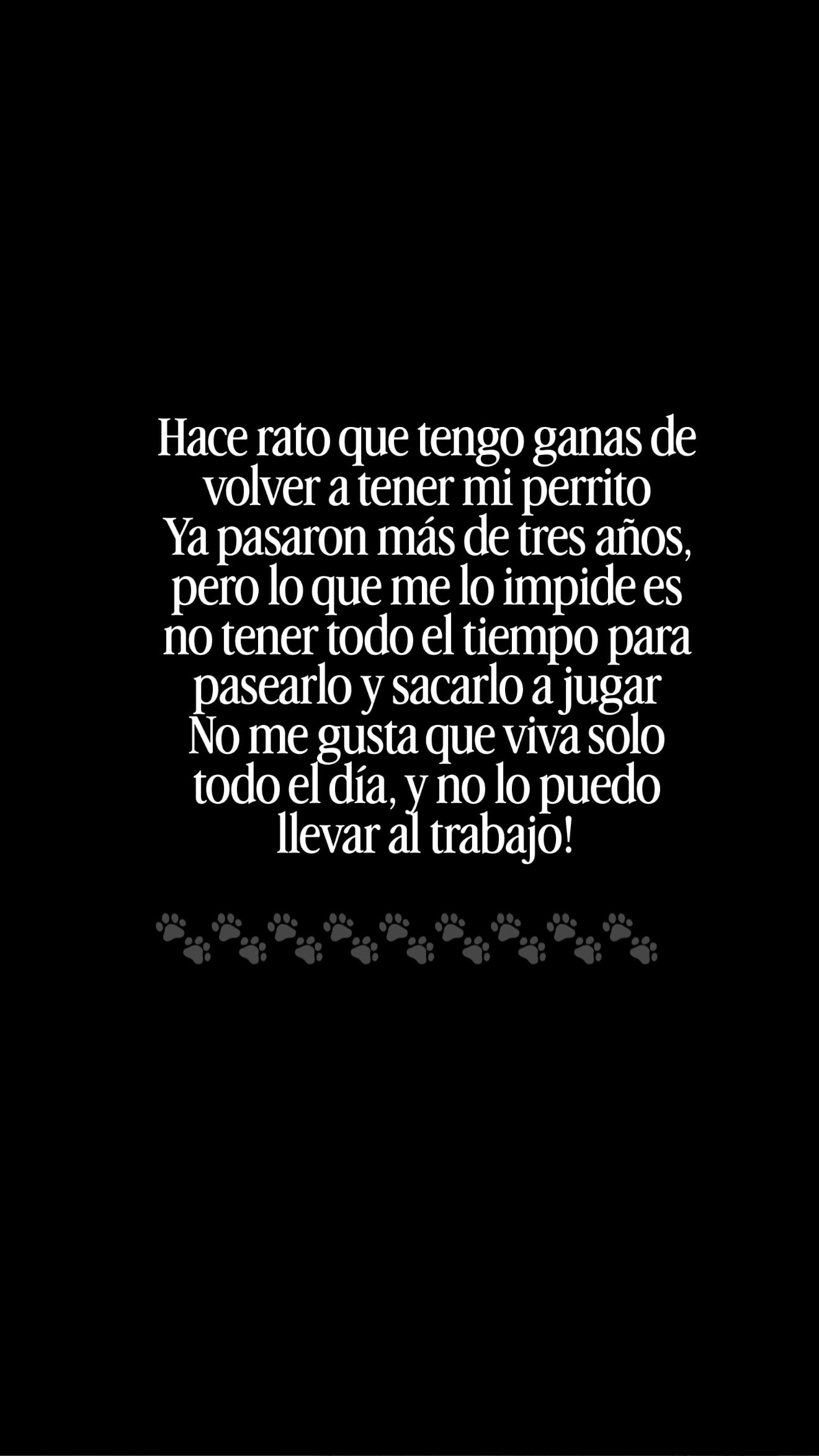 “Tengo ganas de volver a tener mi perrito”, la confesión de Ángel de Brito tras recordar a Chester