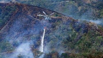 Crecieron un 60% las emisiones