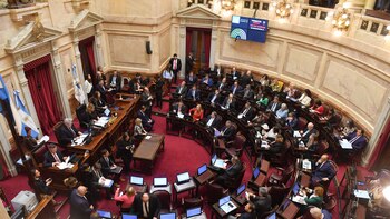 Cultura: el Senado convirtió en