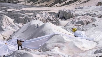 Trabajadores preparan láminas en el