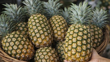 Piña costarricense genera más de 150,000 empleos y aporta el 6% de las exportaciones