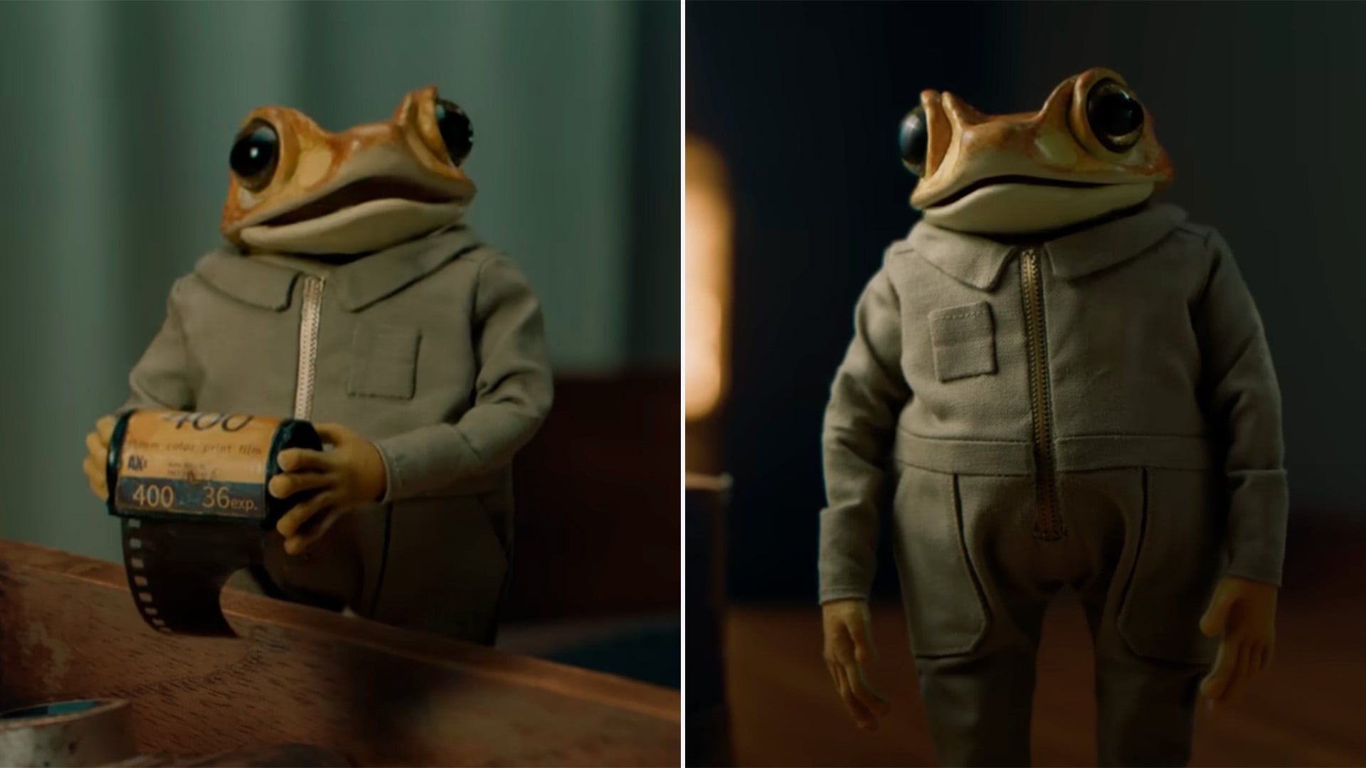 Esta especie es endémica de Puerto Rico; sin embargo, su existencia se encuentra constantemente amenazada por factores como la gentrificación Crédito: (Bad Bunny/Youtube)