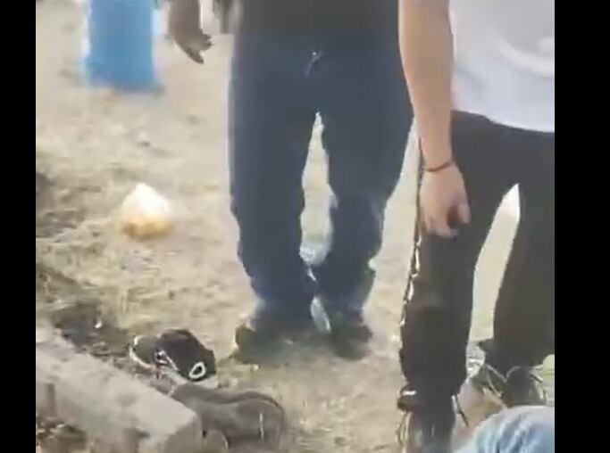 Diversos objetos quedaron en toda la cancha. (Capturas de pantalla)