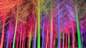 “Conexión: Buenos Aires-Miami”, una muestra