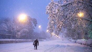 Un hombre camina entre la