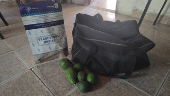 Paltas robadas en La Plata