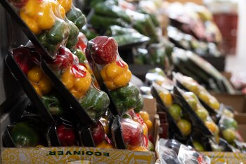 Los términos como "ecológicos", "sostenible"