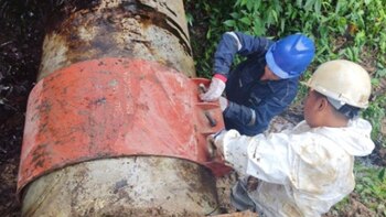 El reciente acto vandálico perforó