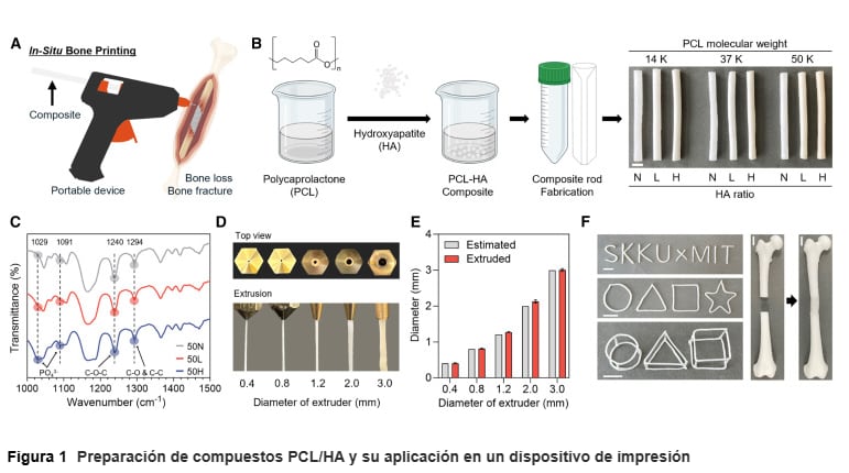 Un dispositivo portátil similar a una pistola de pegamento extruye materiales biocompatibles directamente sobre el hueso dañado durante la cirugía (Cell)