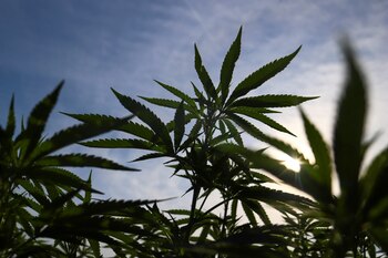 Los productos comercializados por Xebra